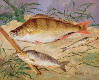 La captura de un pescador de peces gruesos de D. the Younger Wolstenholme